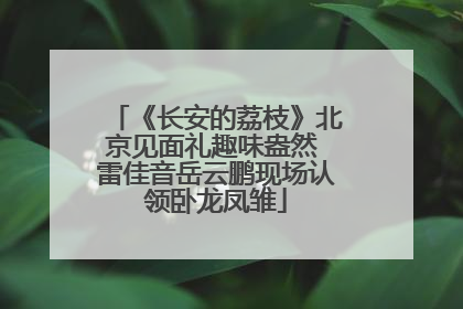 《长安的荔枝》北京见面礼趣味盎然 雷佳音岳云鹏现场认领卧龙凤雏