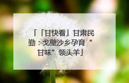 「甘快看」甘肃民勤：戈壁沙乡孕育“甘味”领头羊