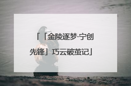 「金陵逐梦·宁创先锋」巧云破茧记