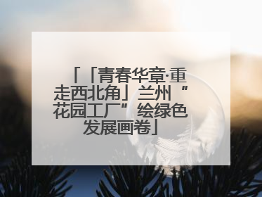 「青春华章·重走西北角」兰州“花园工厂”绘绿色发展画卷