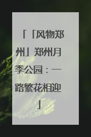 「风物郑州」郑州月季公园：一路繁花相迎