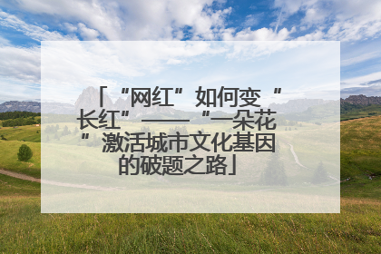 “网红”如何变“长红”——“一朵花”激活城市文化基因的破题之路