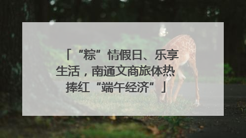 “粽”情假日、乐享生活，南通文商旅体热捧红“端午经济”