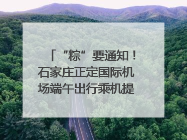 “粽”要通知！石家庄正定国际机场端午出行乘机提示，快来get
