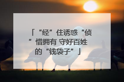“经”住诱惑“侦”惜拥有 守好百姓的“钱袋子”