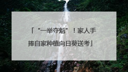 “一举夺魁”！家人手捧自家种植向日葵送考