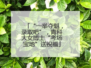 “一举夺魁，录取吧”，青科大女博士“考场宝地”送祝福