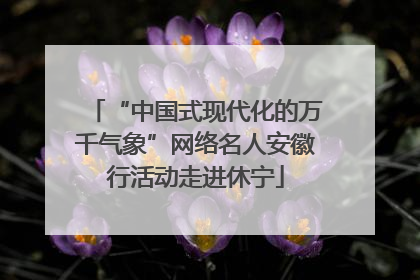 “中国式现代化的万千气象”网络名人安徽行活动走进休宁