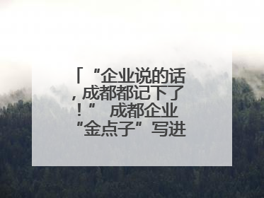 “企业说的话，成都都记下了！” 成都企业“金点子”写进数字文创政策