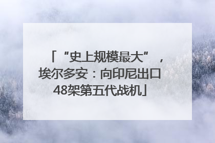 “史上规模最大”，埃尔多安：向印尼出口48架第五代战机
