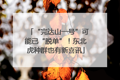 “完达山一号”可能已“脱单”！东北虎种群也有新喜讯