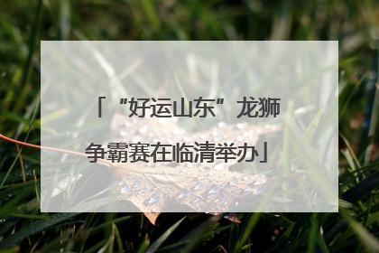 “好运山东”龙狮争霸赛在临清举办