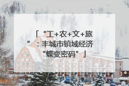 “工+农+文+旅”：丰城市镇域经济“蝶变密码”