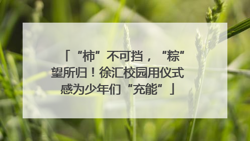 “柿”不可挡，“粽”望所归！徐汇校园用仪式感为少年们“充能”