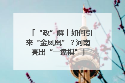 “政”解丨如何引来“金凤凰”？河南亮出“一盘棋”