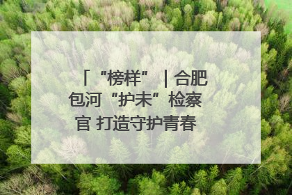 “榜样”｜合肥包河“护未”检察官 打造守护青春成长的永恒灯塔