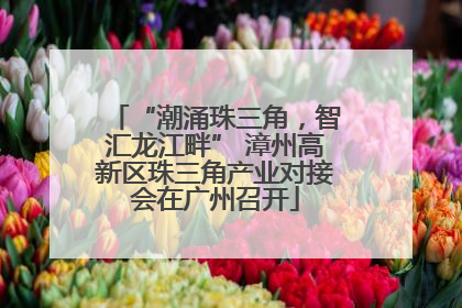 “潮涌珠三角，智汇龙江畔” 漳州高新区珠三角产业对接会在广州召开