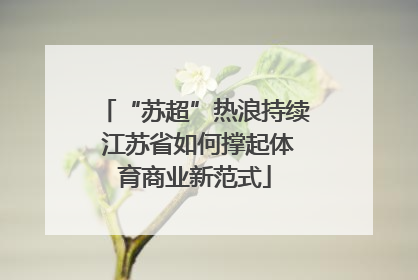 “苏超”热浪持续 江苏省如何撑起体育商业新范式