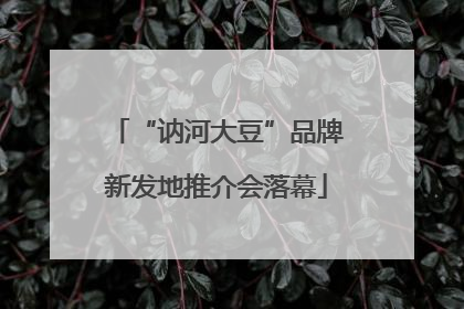 “讷河大豆”品牌新发地推介会落幕