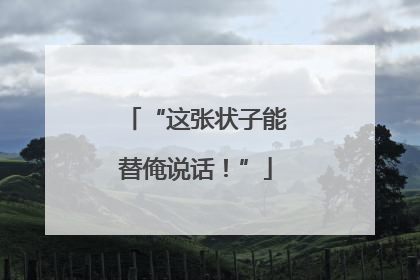 “这张状子能替俺说话！”