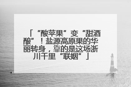 “酸苹果”变“甜酒酿”！盐源高原果的华丽转身，靠的是这场浙川千里“联姻”