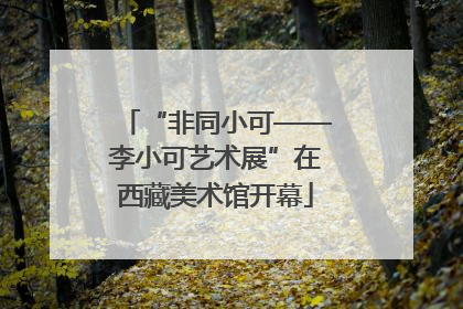 “非同小可——李小可艺术展”在西藏美术馆开幕
