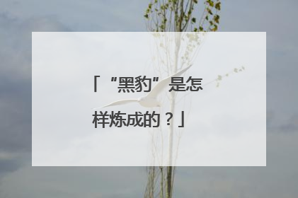 “黑豹”是怎样炼成的？