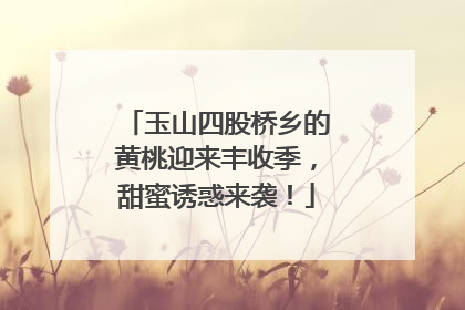 玉山四股桥乡的黄桃迎来丰收季，甜蜜诱惑来袭！