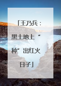 王乃兵：黑土地上“种”出红火日子