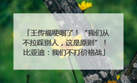 王传福哽咽了！“我们从不拉踩别人，这是原则”！比亚迪：我们不打价格战