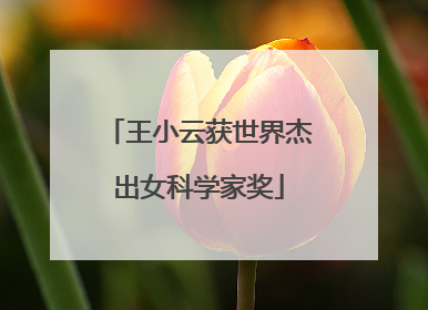王小云获世界杰出女科学家奖