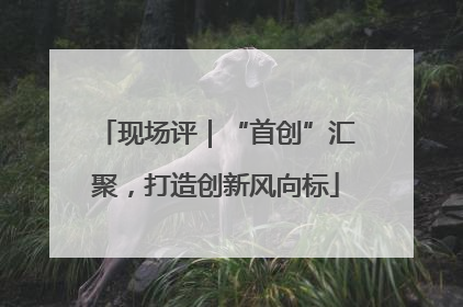 现场评｜“首创”汇聚，打造创新风向标