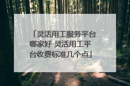 灵活用工服务平台哪家好 灵活用工平台收费标准几个点
