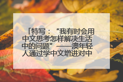 特写：“我有时会用中文思考怎样解决生活中的问题”——澳年轻人通过学中文增进对中华文化的理解