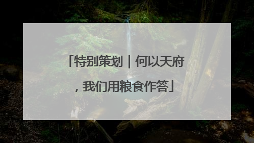 特别策划｜何以天府，我们用粮食作答