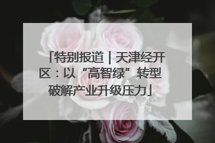 特别报道｜天津经开区：以“高智绿”转型破解产业升级压力