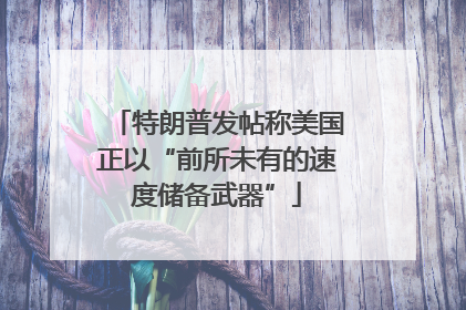 特朗普发帖称美国正以“前所未有的速度储备武器”