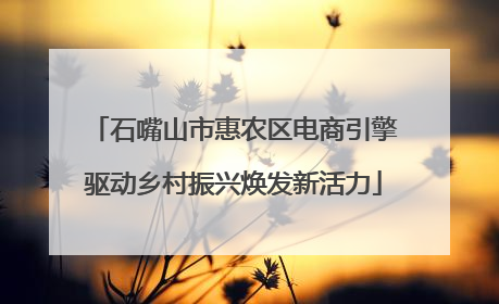 石嘴山市惠农区电商引擎驱动乡村振兴焕发新活力