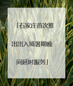 石家庄首次推出出入境暑期晚间延时服务