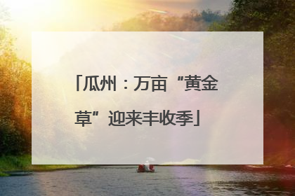 瓜州：万亩“黄金草”迎来丰收季