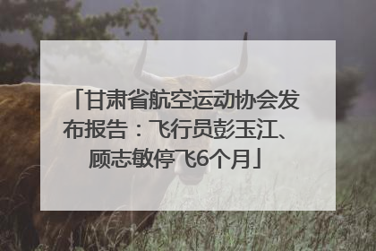 甘肃省航空运动协会发布报告：飞行员彭玉江、顾志敏停飞6个月