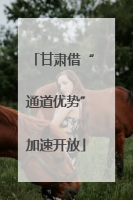 甘肃借“通道优势”加速开放