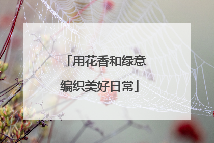 用花香和绿意编织美好日常