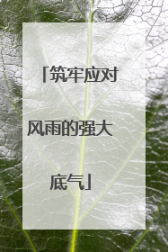筑牢应对风雨的强大底气