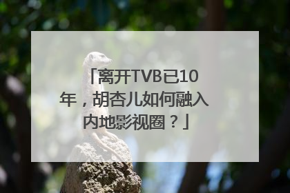 离开TVB已10年，胡杏儿如何融入内地影视圈？
