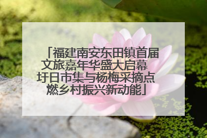 福建南安东田镇首届文旅嘉年华盛大启幕 圩日市集与杨梅采摘点燃乡村振兴新动能