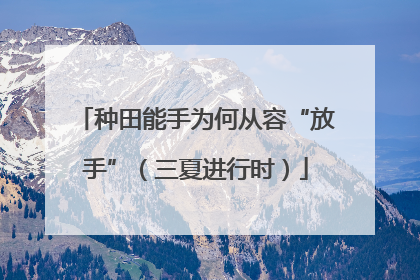 种田能手为何从容“放手”（三夏进行时）