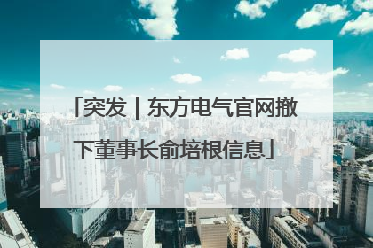 突发|东方电气官网撤下董事长俞培根信息