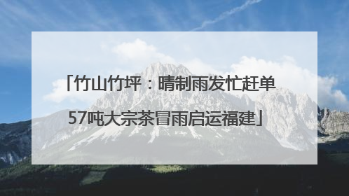 竹山竹坪：晴制雨发忙赶单 57吨大宗茶冒雨启运福建