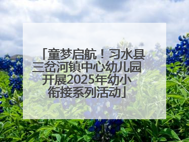 童梦启航！习水县三岔河镇中心幼儿园开展2025年幼小衔接系列活动